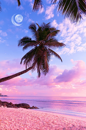 Aesthetic Beach Wallpapers  Wallpaper Cave
