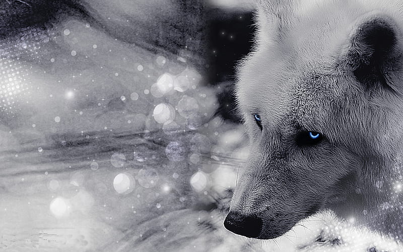 Artic Wolf Fantasy Artic Wolf White Eyes Abstract Blue Hd Wallpaper Peakpx