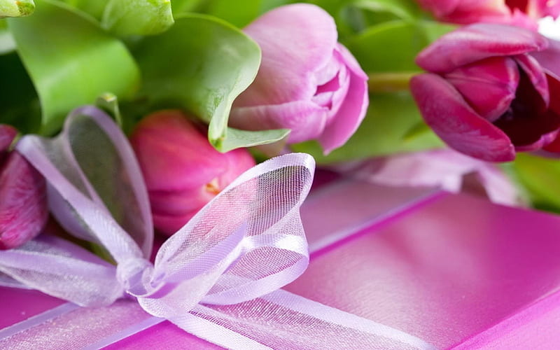 8 march, tulips, pink tulips, march 8, gift, podarunok, roses paradise garden, HD wallpaper