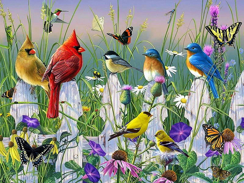 Meadow Menagerie, fence, cardinals, chickadees, flowers, birds, butterflies, finch, artwork, painting, HD wallpaper