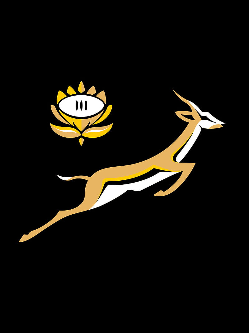 South Afrcica Rugby, africa, bokke, boks, cool, logos, rugby, south, sport, springbok, try, HD phone wallpaper