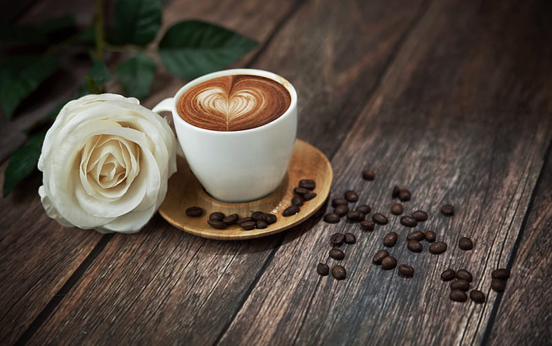 Coffee Time, white rose, coffee, rose, beans, cup, HD wallpaper