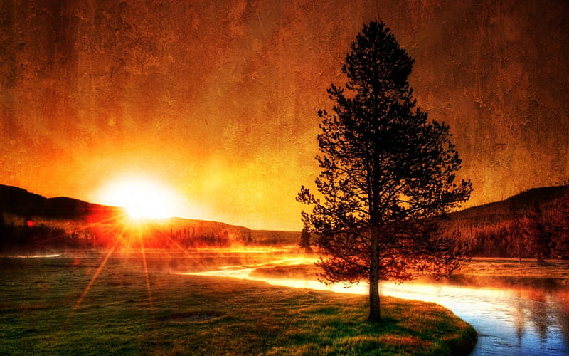graph of sunrise in yellowstone r, tree, hot springs, r, sunrise, steam, meadow, HD wallpaper