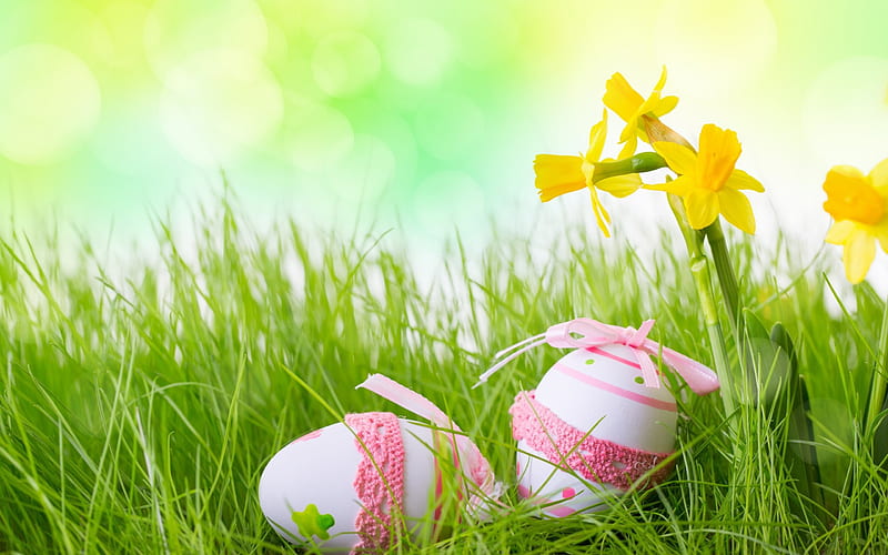 Easter, spring, easter eggs, green grass, HD wallpaper