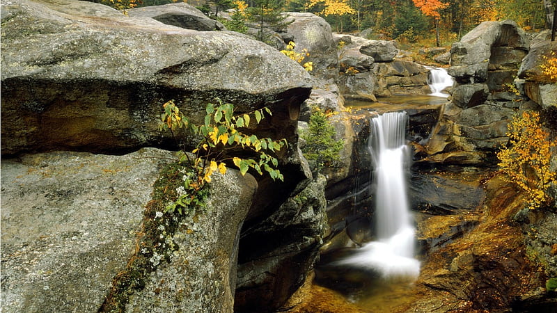 Little Falls, leaves, water, rock, falls, HD wallpaper