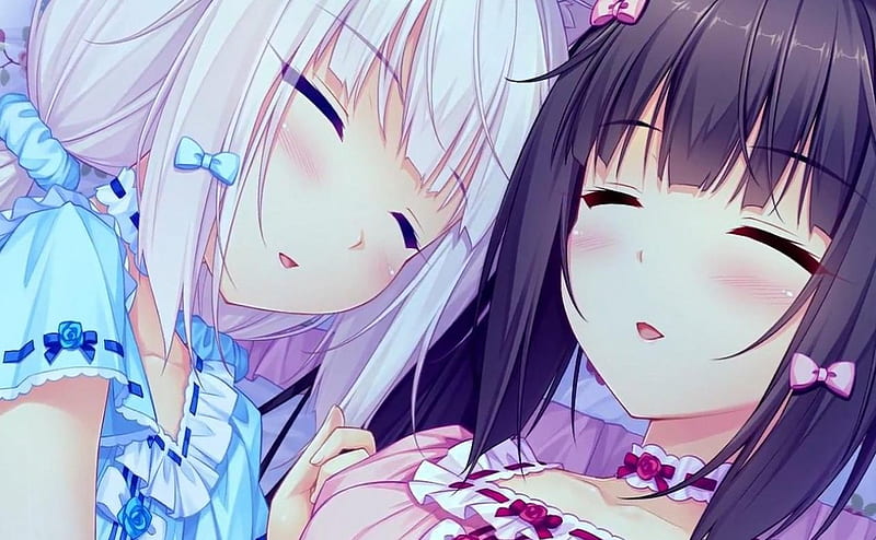 Catgirls Chocola & Vanilla, chocola and vanilla, rose, two girls,  thighhighs, HD wallpaper