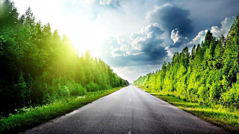 endless road in a grove of trees, forest, sun, road, clouds, HD wallpaper
