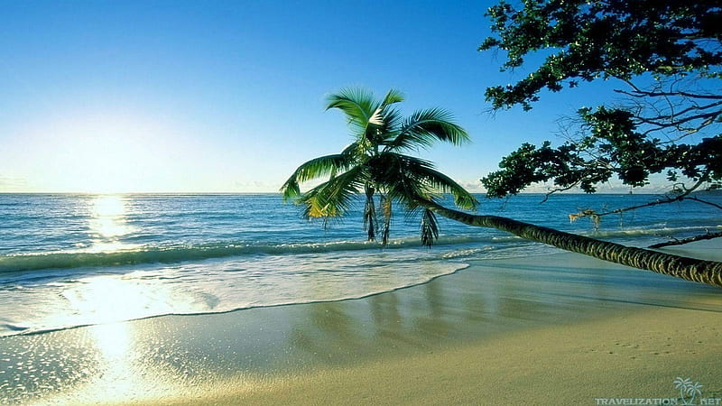 Summertime...when the living is easy., Sky, Ocean, beach, Tropics, Sea, Trees, Waves, Sunrise, Blue, HD wallpaper