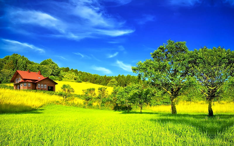 Beautiful Green Nature, forest, house, green, grass, nature, trees, sky,  landscape, HD wallpaper | Peakpx