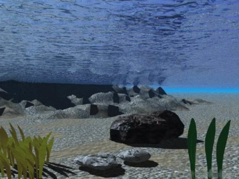 under water world, cool , good work, HD wallpaper