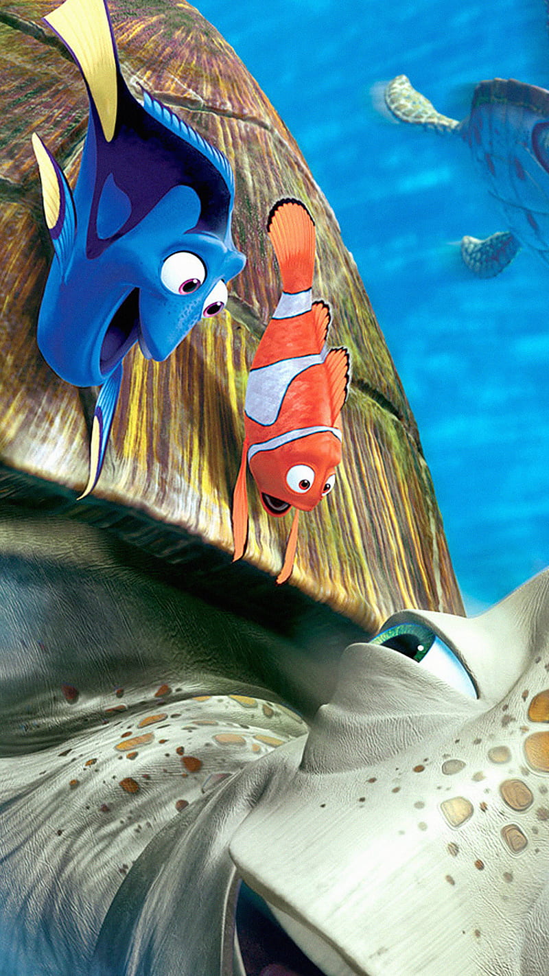 Finding Nemo, animal, fish, disney, cartoon, animation, HD phone wallpaper  | Peakpx