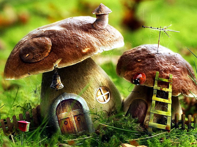 Mushroom Houses, ladybug, roof, window, ladder, antenna, door, HD wallpaper