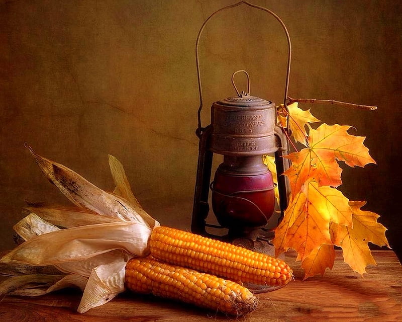✿⊱•╮Autumn Still Life╭•⊰✿, lovely still life, fall, autumn, corns, harvest, maple leaves, love four seasons, still life, leaves, graphy, old lamp, HD wallpaper