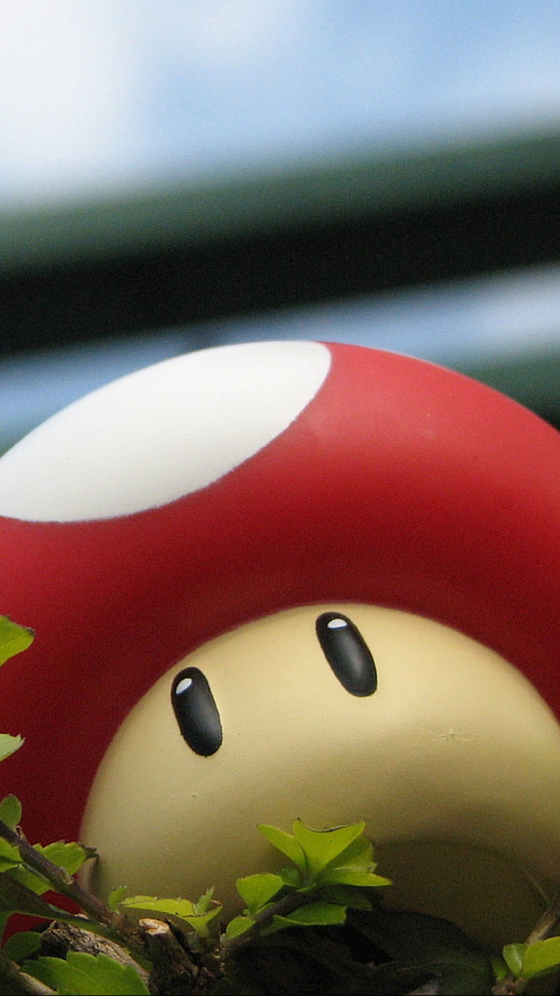 toad mario wallpaper