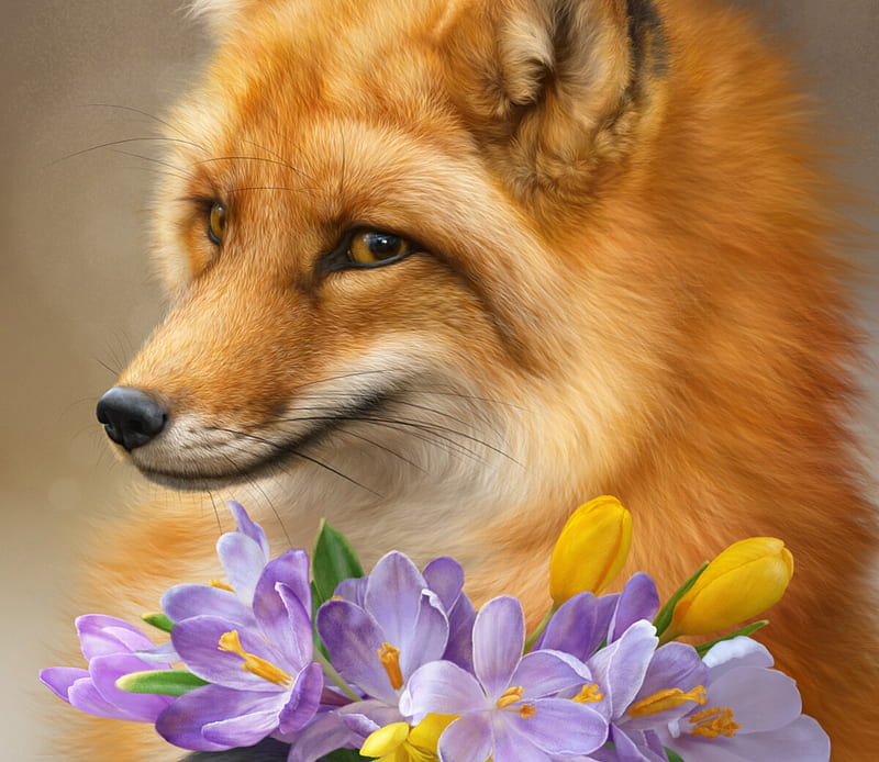 Fox, spring, alenaekaterinburg, crocus, orange, luminos, yellow, elena roslyakova, fantasy, vulpe, flower, primavara, pink, HD wallpaper