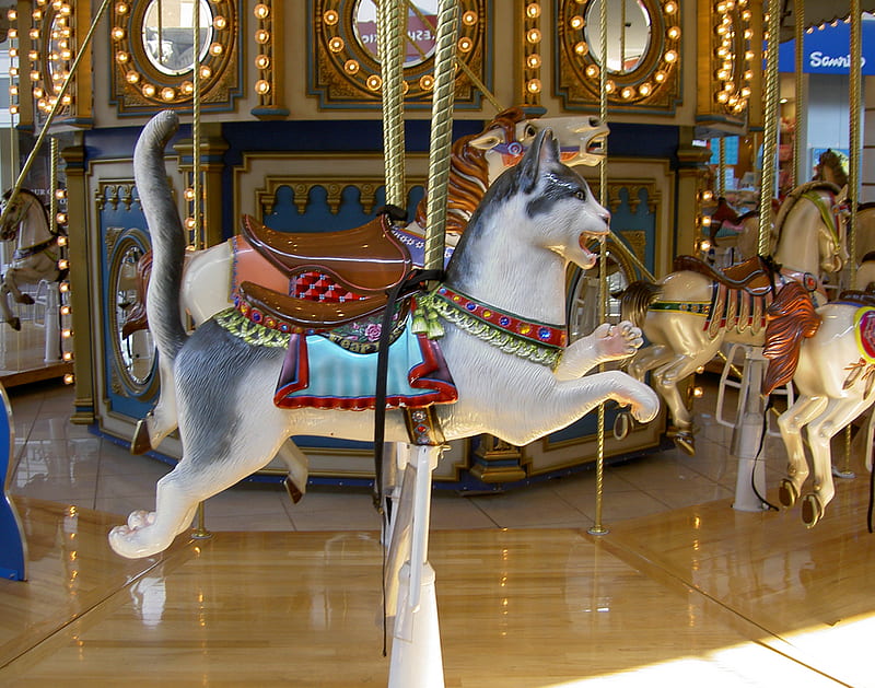 Carousel~Cat, amusement park, cat, carousel, ride, HD wallpaper