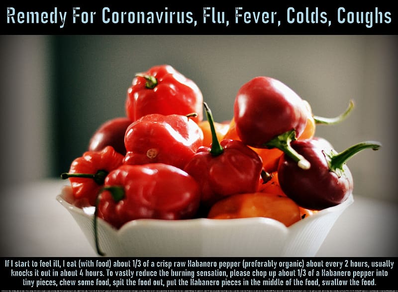 Remedy For Coronavirus, Flu, Fever, Colds, Coughs, fitness, flu, health, faith, pandemic, chills, hot peppers, coughs, illness, fever, coronavirus, quarantine, healing, sweats, hope, sick, virus, miracles, colds, religious, love, covid-19, bronchitus, wisdom, peace, spiritual, sinusitus, joy, HD wallpaper