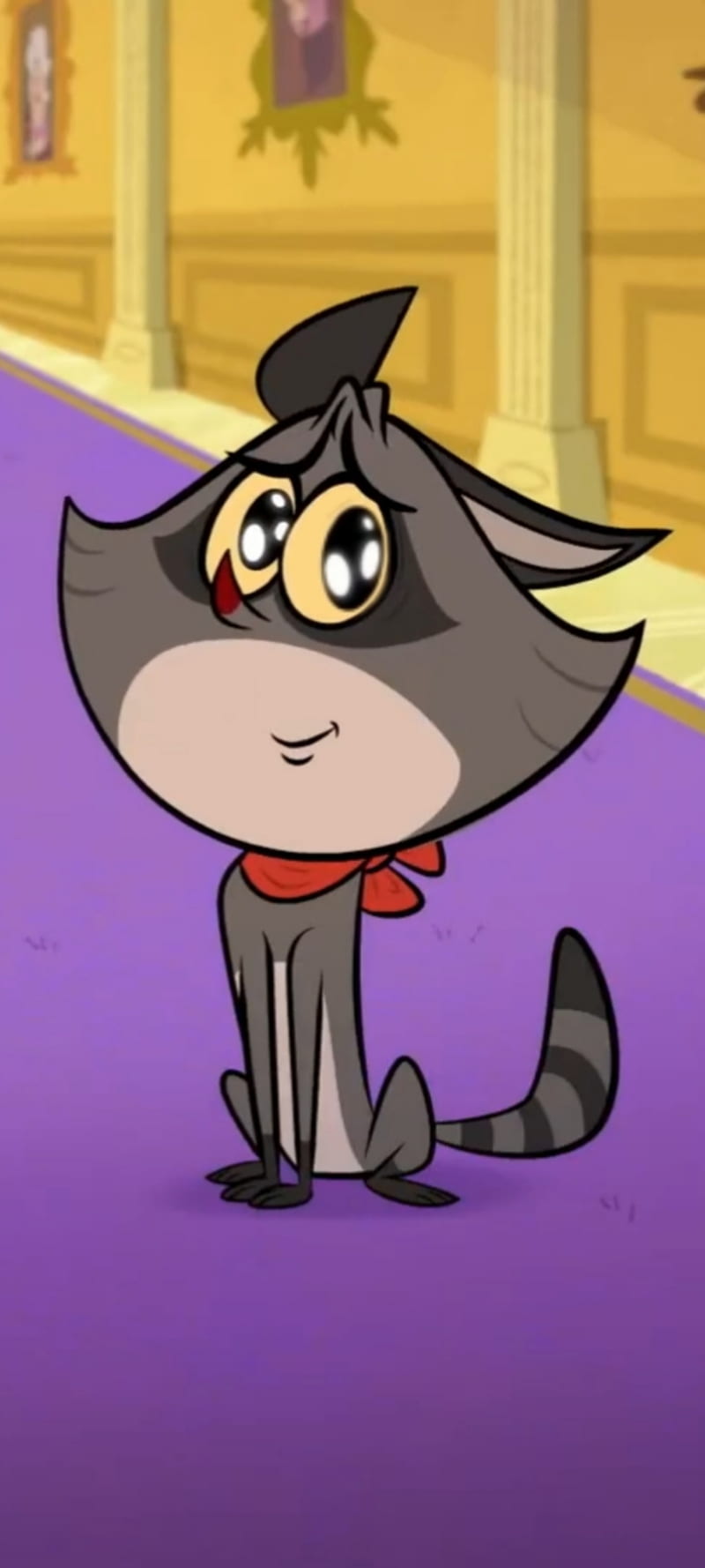 Cute Taffy, raccoon, animated cartoon, cat, happy, boomerang, HD phone wallpaper