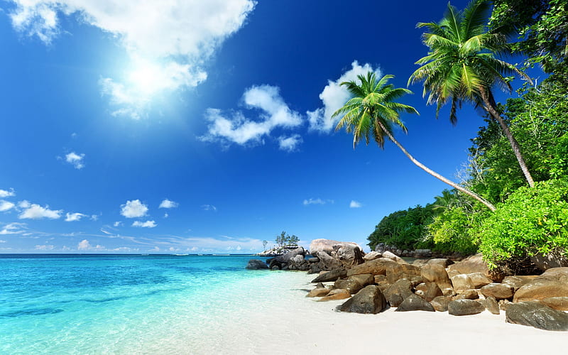 Travel Vacation Paradise Beach Palm Sunshine, HD wallpaper