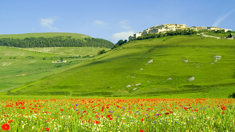 Italian Landscape, hills, poppies, homes, italia, flowers, nature, fields, forests, landscape, italy, HD wallpaper