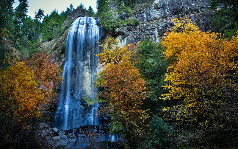 Fall Silver Falls, forest, fall, autumn, woods, autumn leaves, trees, water, splendor, autumn splendor, waterfall, nature, river, HD wallpaper