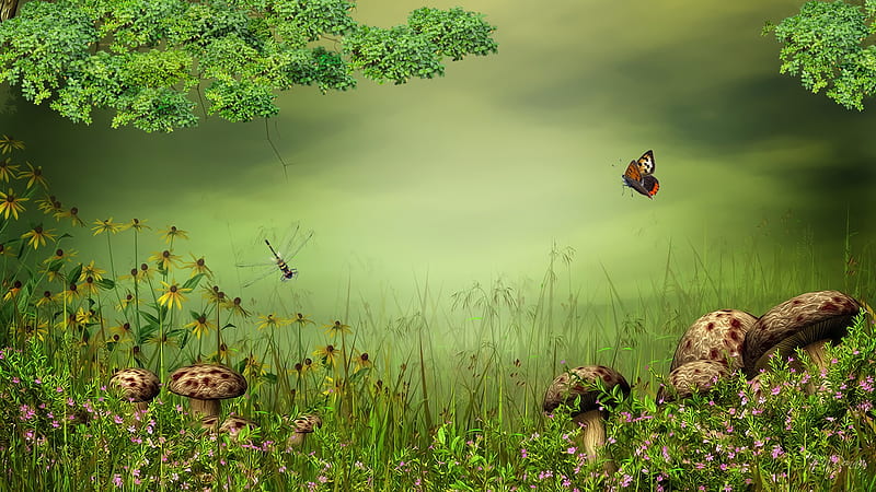 Green Freshness, toadstools, grass, fresh, firefox persona, spring, trees, butterfly, green, bright, dragonfly, flowers, mushrooms, HD wallpaper