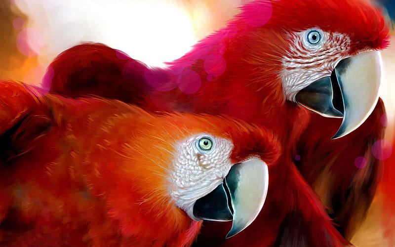 Parrots-Animal World Series, HD wallpaper