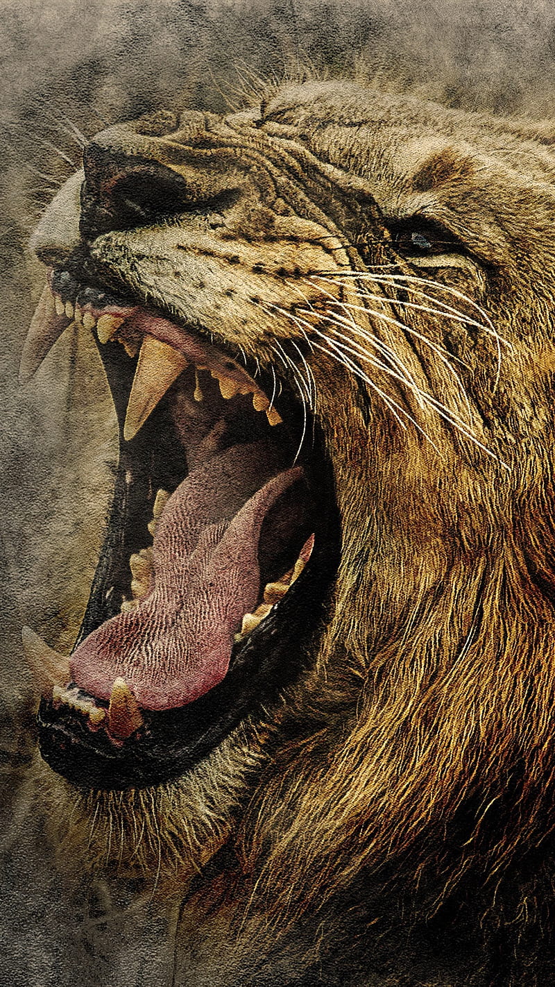 Lion Roar Art , muzzle, grin, animal, wild, HD phone wallpaper