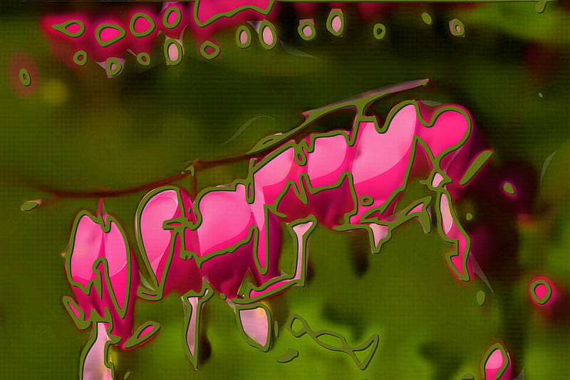 Closeup view of string of delicate Bleeding Hearts pop art . jpg, bleeding, spring, pink, heart, HD wallpaper