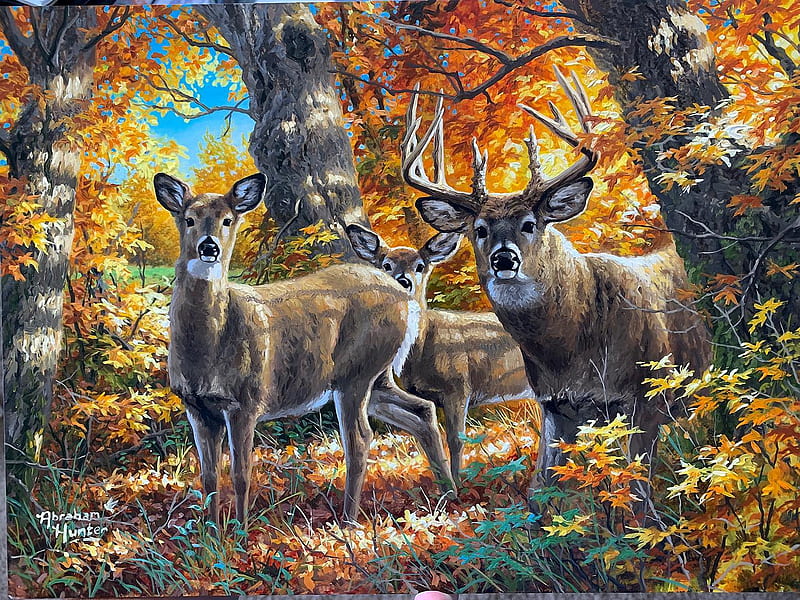 Golden Glade, leaves, trees, deer, forest, autumn, sunlight, HD wallpaper