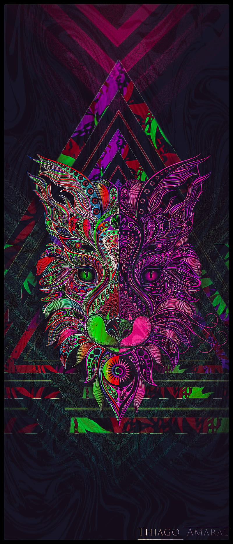 Lobo Abstrato , colorido, face, HD phone wallpaper
