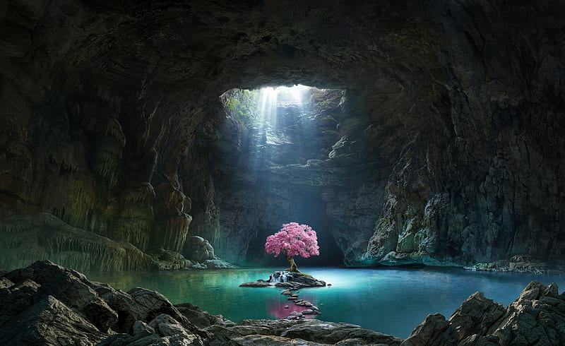 The pink tree, klondike, game, olga antonenko, pink, blue, cave, luminos, copac, water, tree, fantasy, HD wallpaper