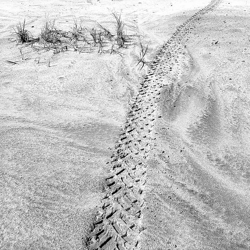 Sand tracks, beach, bike, dirt bike, motorcycle tracks, tire, tread, HD phone wallpaper