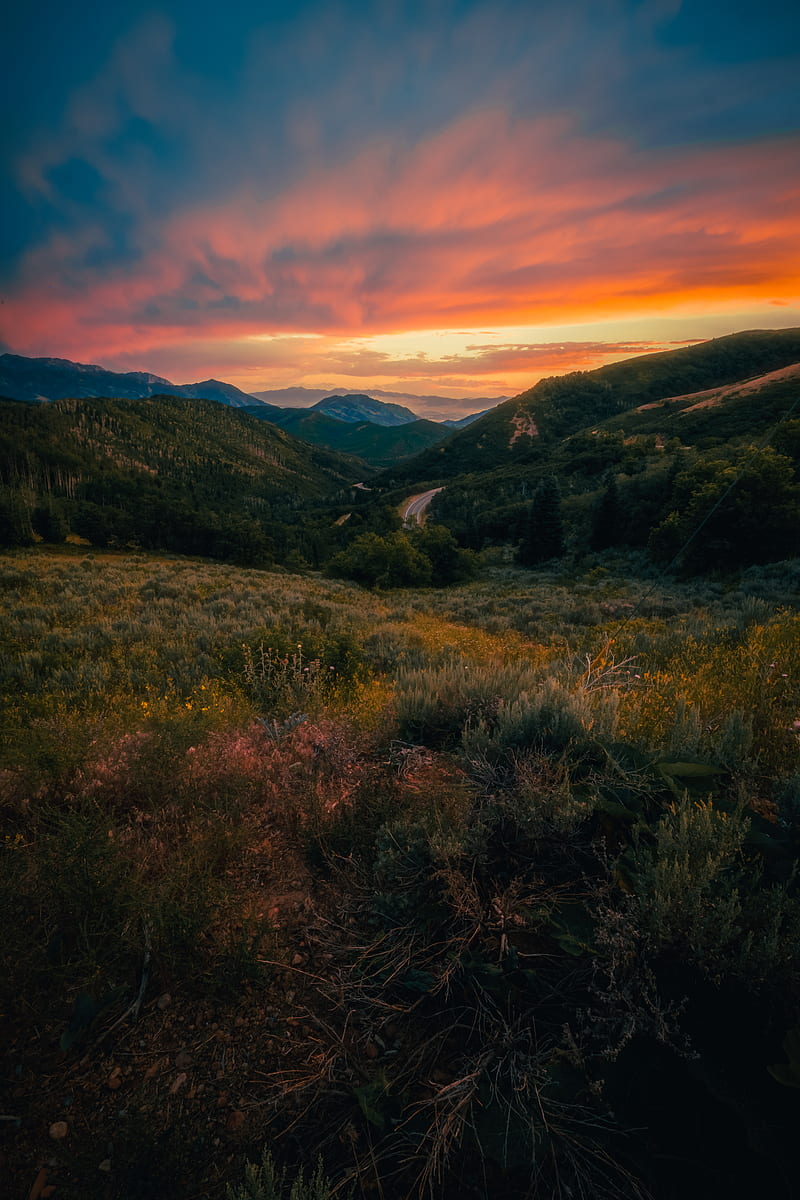 mountains, sunset, lawn, grass, landscape, HD phone wallpaper