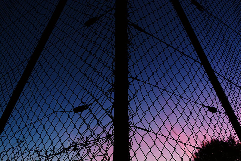 lattice, fence, mesh, sunset, sky, HD wallpaper