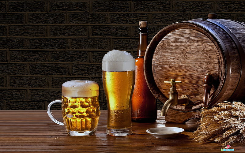 beer, glass, keg, mug, HD wallpaper