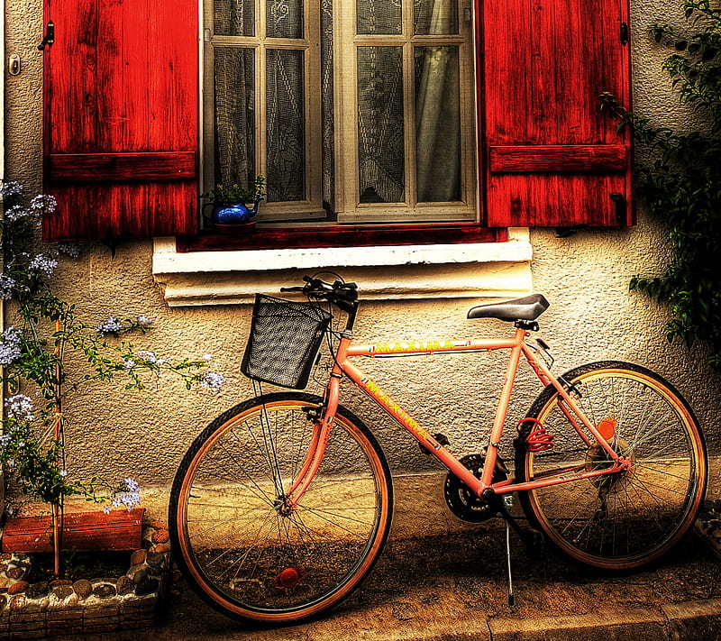 Romantic, bicycle, bike, house, romance, HD wallpaper