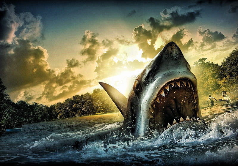 Shark Attack (R), shark, r, attack, fish, HD wallpaper