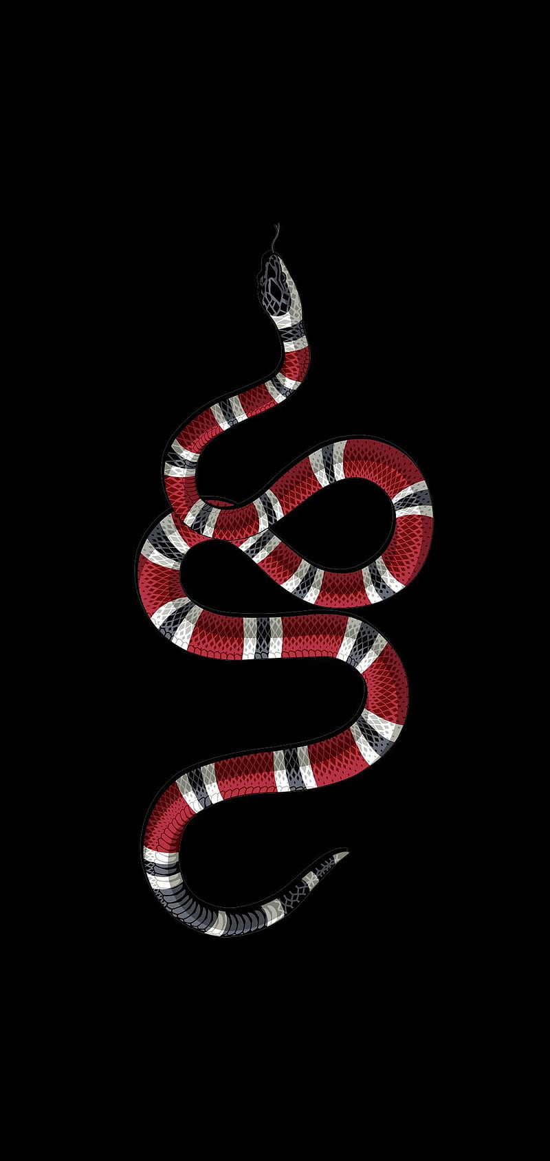 Download Gucci Coral Snake With The Supreme Logo Wallpaper