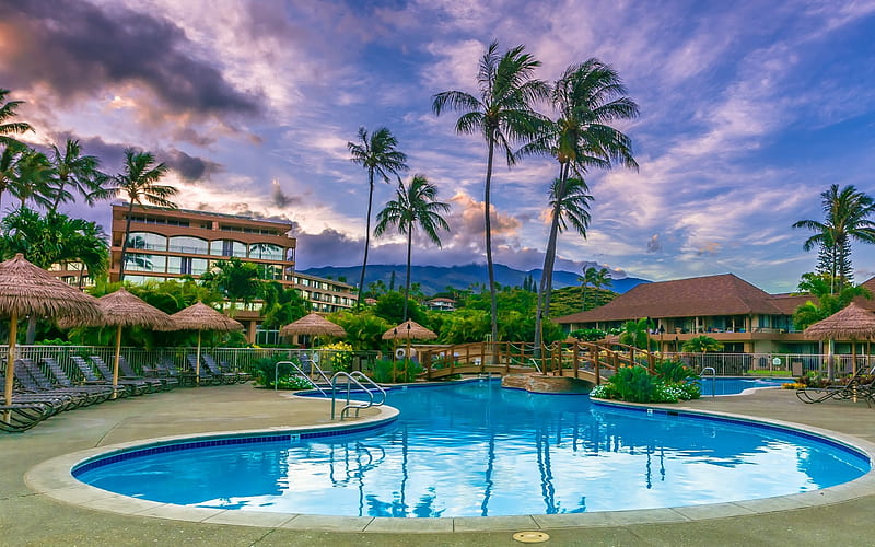 Maui, Hawaii, luxury hotel, sunset, swimming pool, palm trees, resort, USA, HD wallpaper