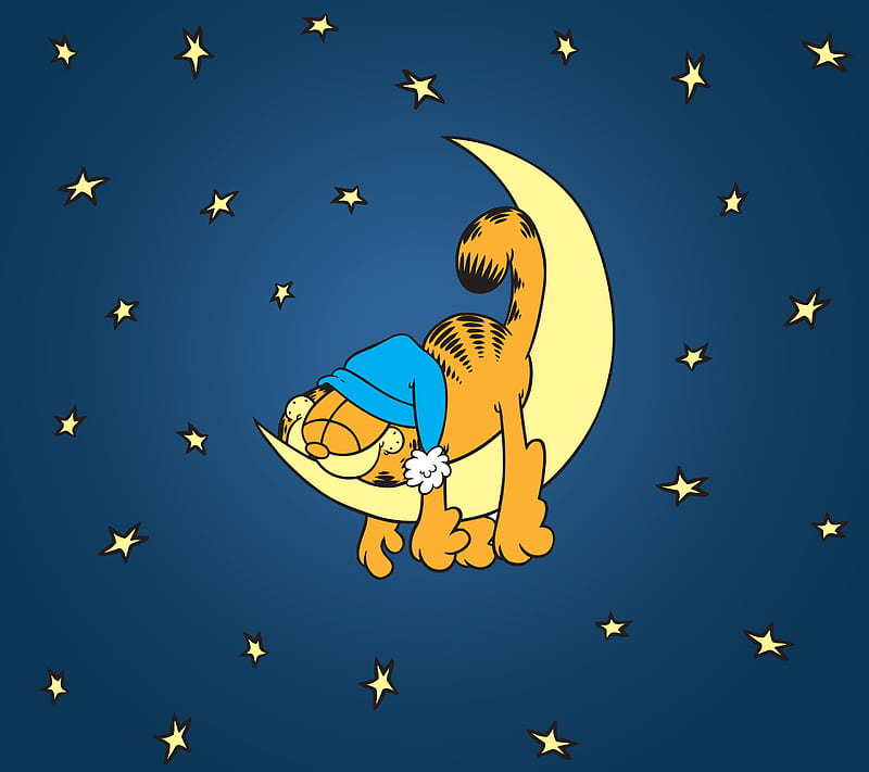 Goodnight Cat Garfield Katt Lazy Moon Night Sleepy Stars Hd Wallpaper Peakpx