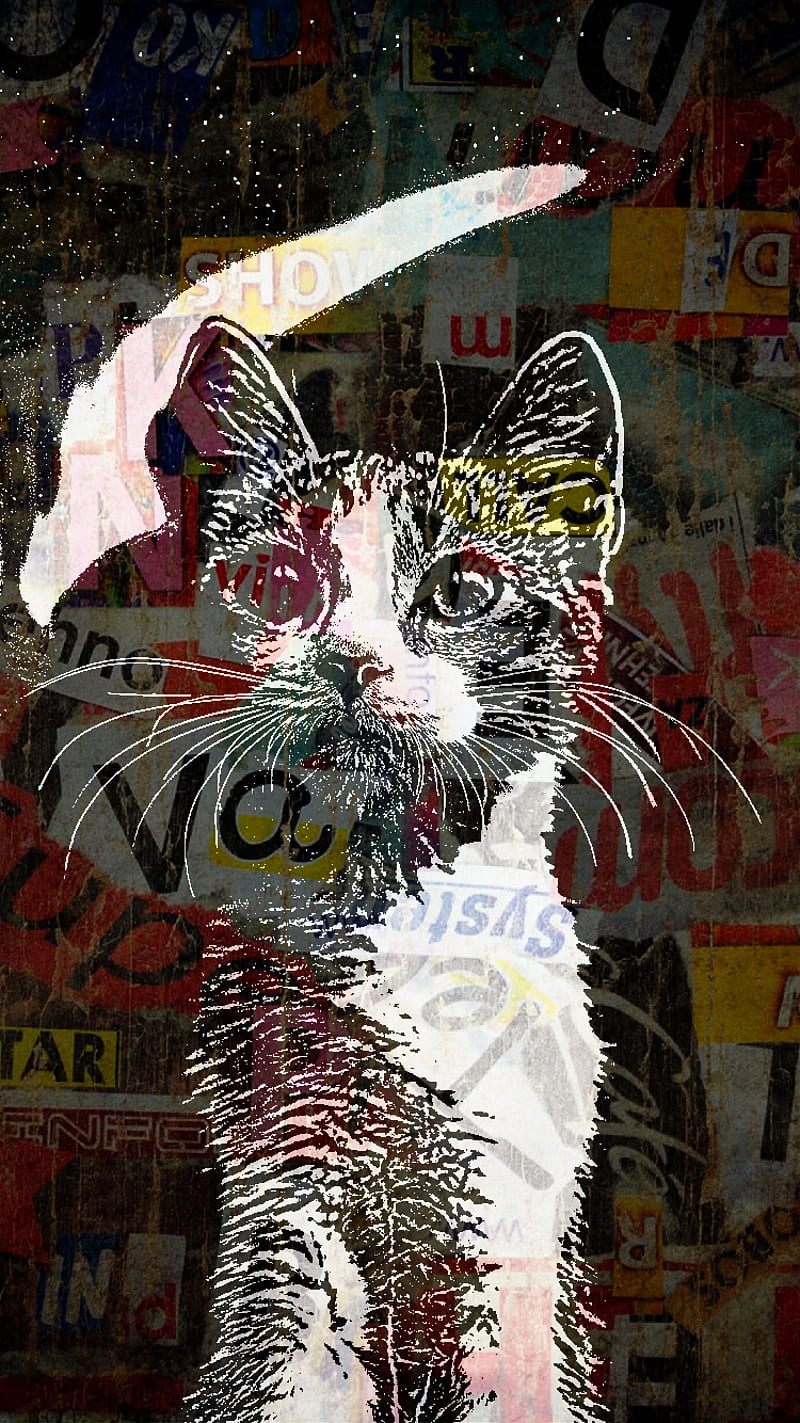 Cat paint, alley, city, kitten, wall, HD mobile wallpaper