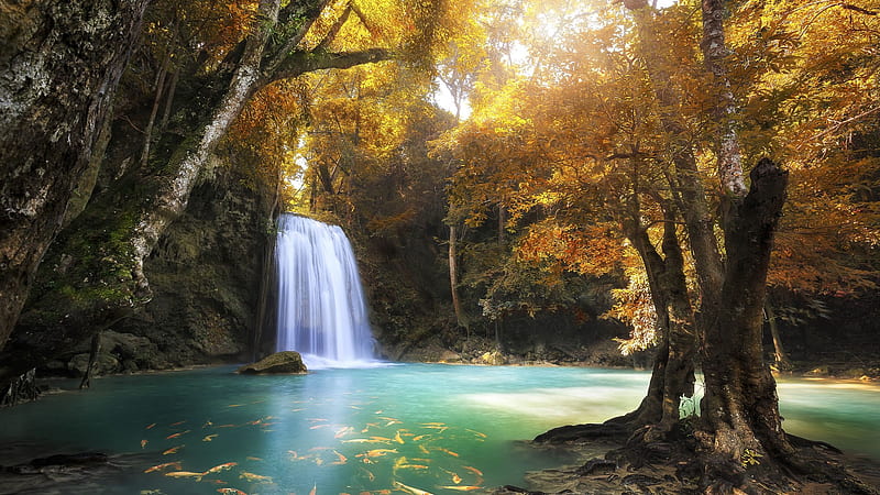 Beautiful Waterfall Pouring On River Fishes Underwater Trees Forest Lock Screen, HD wallpaper
