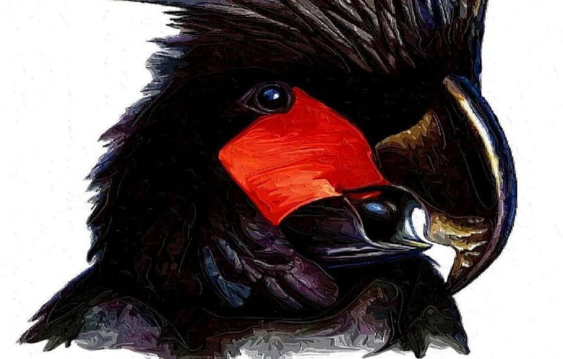 Painting of a Black Cockatoo, painting, art, black, bird, HD wallpaper