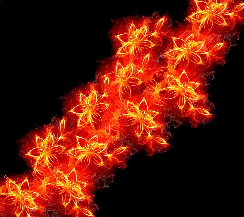 Burning Flowers, amazing, awesome, cool, fire, flower, HD wallpaper