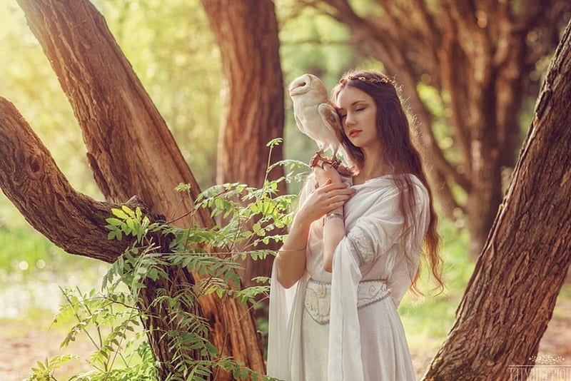Elf And Owlet, beauty, graphy, model, lady, HD wallpaper