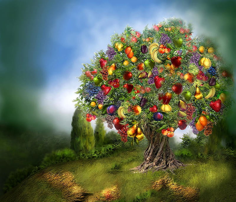 TREE OF ABUNDANCE, fruit, carol, tree, painting, cavalaris, HD wallpaper