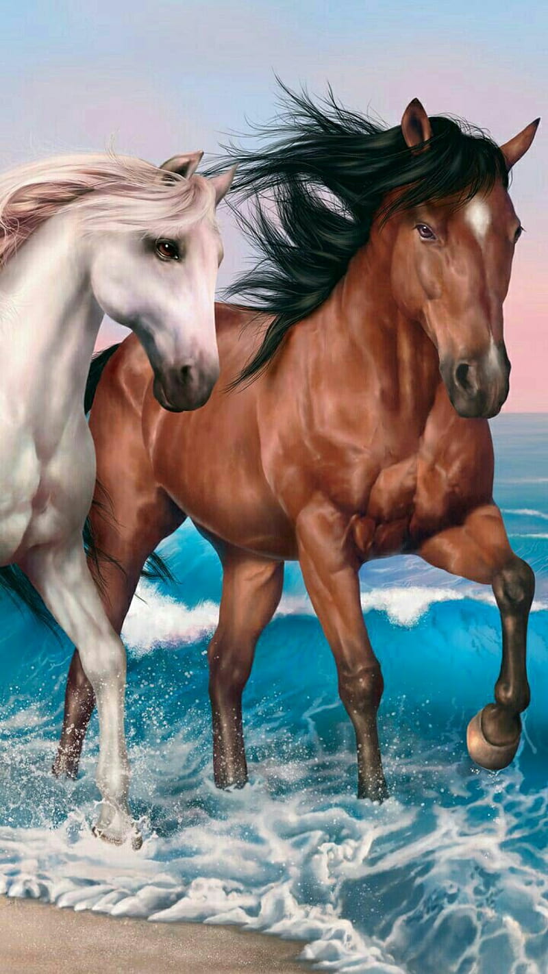 Together, beach, horse, horses, spirit, HD phone wallpaper