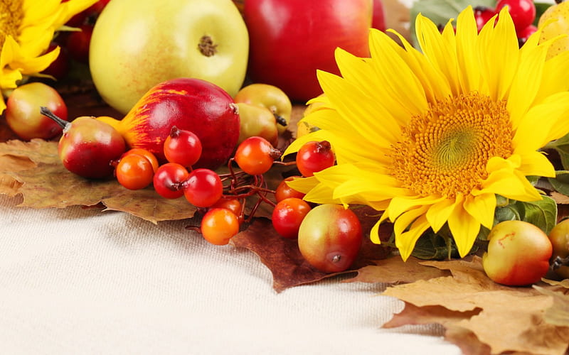 Autumn, fall, owoce, apples, sunflower, kwiaty, martwa, nature, jesienne, leaves, HD wallpaper