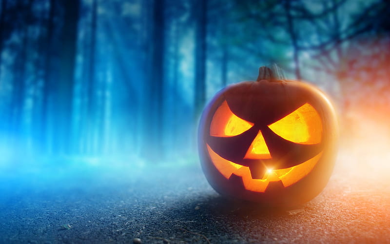 Halloween, pumpkin, scary face, forest, fog, HD wallpaper